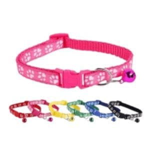 Collier pour chat et chien
