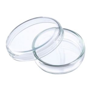 Lot de 50 boites pétrie